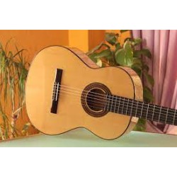 Guitarra Paco Castillo 213F